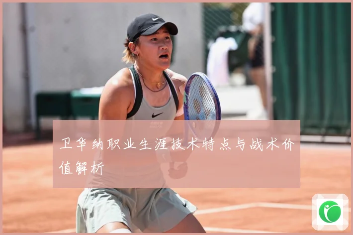卫华纳职业生涯技术特点与战术价值解析