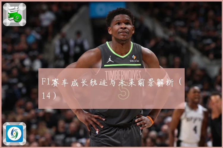 F1赛车成长轨迹与未来前景解析（14）