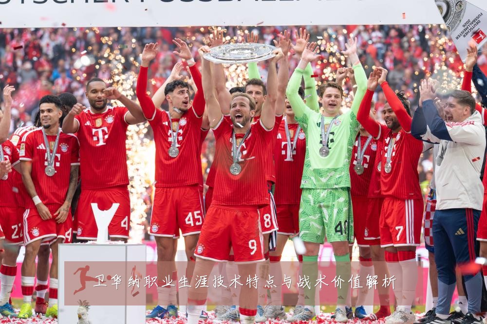 卫华纳职业生涯技术特点与战术价值解析