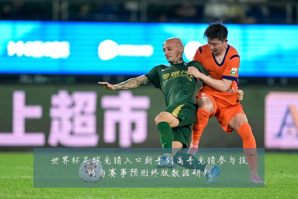 世界杯足球竞猜入口新手到高手竞猜参与技巧与赛事预测终极数据研判
