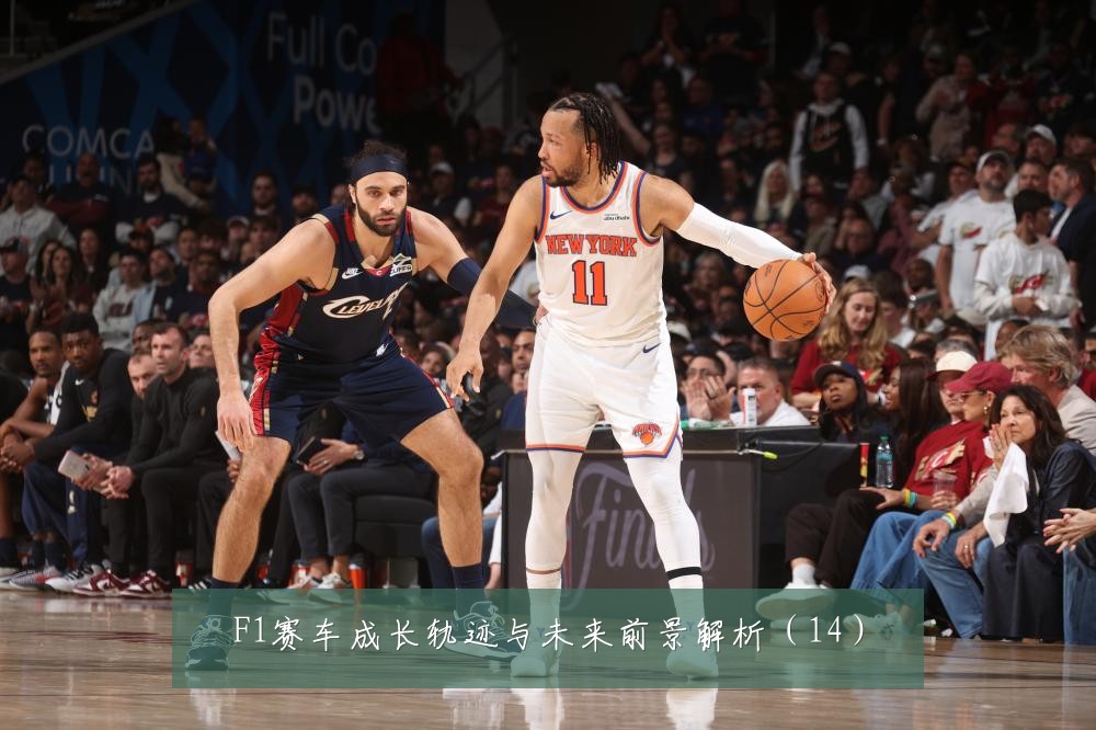 F1赛车成长轨迹与未来前景解析（14）